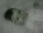 Benutzeravatar