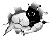 Benutzeravatar