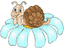 Benutzeravatar