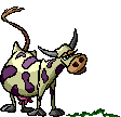 Benutzeravatar