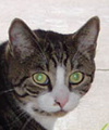 Benutzeravatar