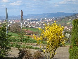 Ausblick vom Garten aus auf Freiburg