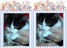 Das wird unser neuer Mitbewohner