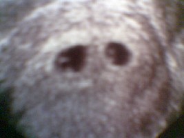 Bild002.jpg
