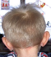 .. frisch geschnitten ala MAMA...