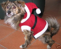 weihnachtsmannhappy.JPG