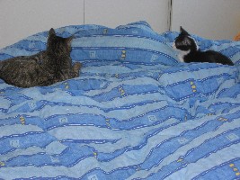 wird was aus uns beiden?