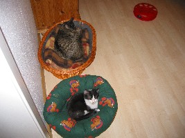 So langsam klappt es mit uns beiden :-)