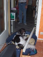 100_3981.jpg