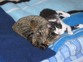 IMG_5677.JPG