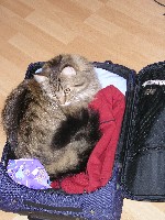 Ich will auch mit in den Urlaub!