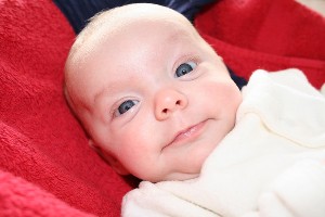 IMG_0814.JPG