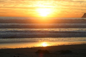 California (728).JPG