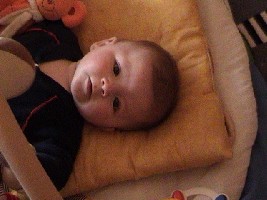 DSC00001.JPG