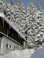 Winterträume