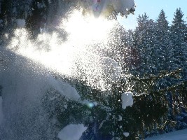 Winterträume