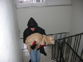 IMG_1318.jpg