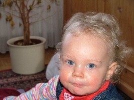 2006_0219Bild0103.JPG