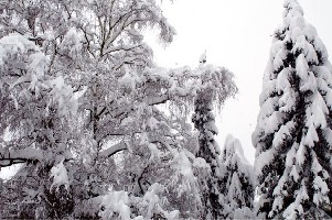 Vergleich zu gestern ;)