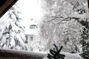 Blick aus dem Wohnzimmer...