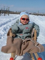 2006_0305Bild0102.JPG