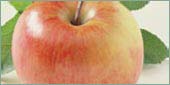 apfel.jpg