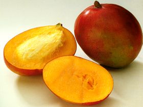 mango01.jpg
