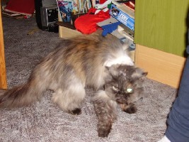 20032006 015.jpg