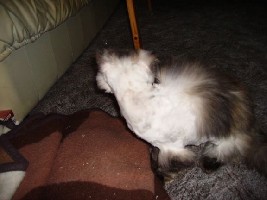 20032006 016.jpg