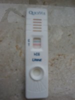 TEST.jpg