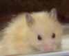 100_4296.jpg