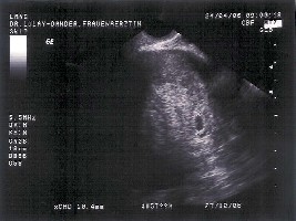 1. US 240406.jpg.jpg
