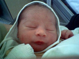 erstes Bildchen vom Handy! :)