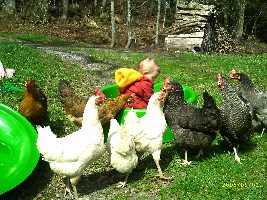 bilder120206 300.jpg