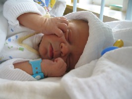 Emil am 1. Mai 2006!