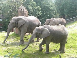 die &amp;quot;3&amp;quot; haben die zwei gleich wieder erkannt