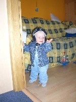 Wie das Fähnchen auf dem Turme.JPG