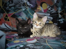 Lucy und Mia