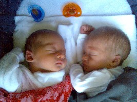 Bild166.jpg