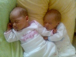 Bild227.jpg