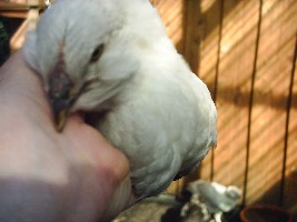 PIC_0015.JPG
