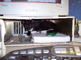 000_0013.JPG