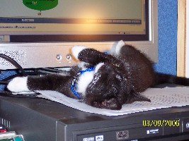 000_0016.JPG