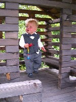 Im Baumhaus