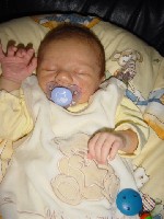 Simon neu 2006 Sept 009.jpg