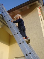 luca hilft das vogelnesst zu beseitigen