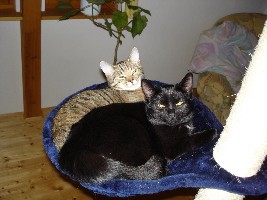 Mia und Lucy