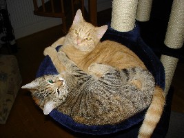 Felix und Mia