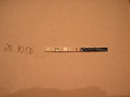 CIMG0361.JPG