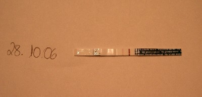 CIMG0361_1.JPG